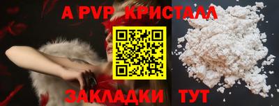 спиды Славгород